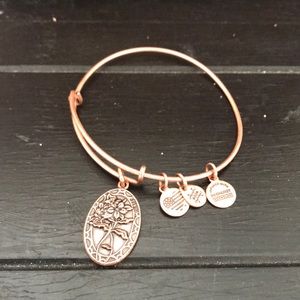 Alex and Ani Friendship Bracelet